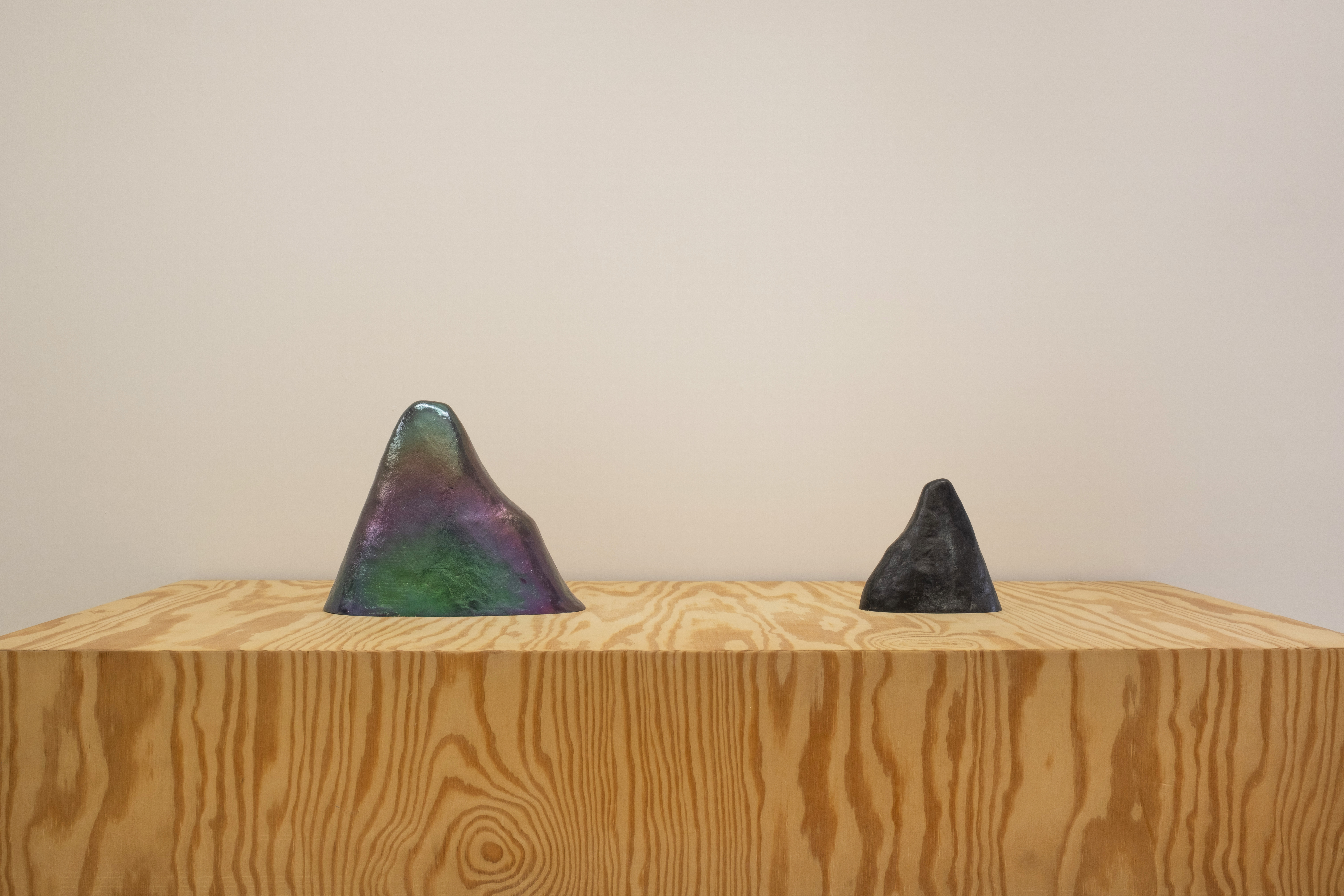 Galerie Vera Munro_2025_Janis Avotins27