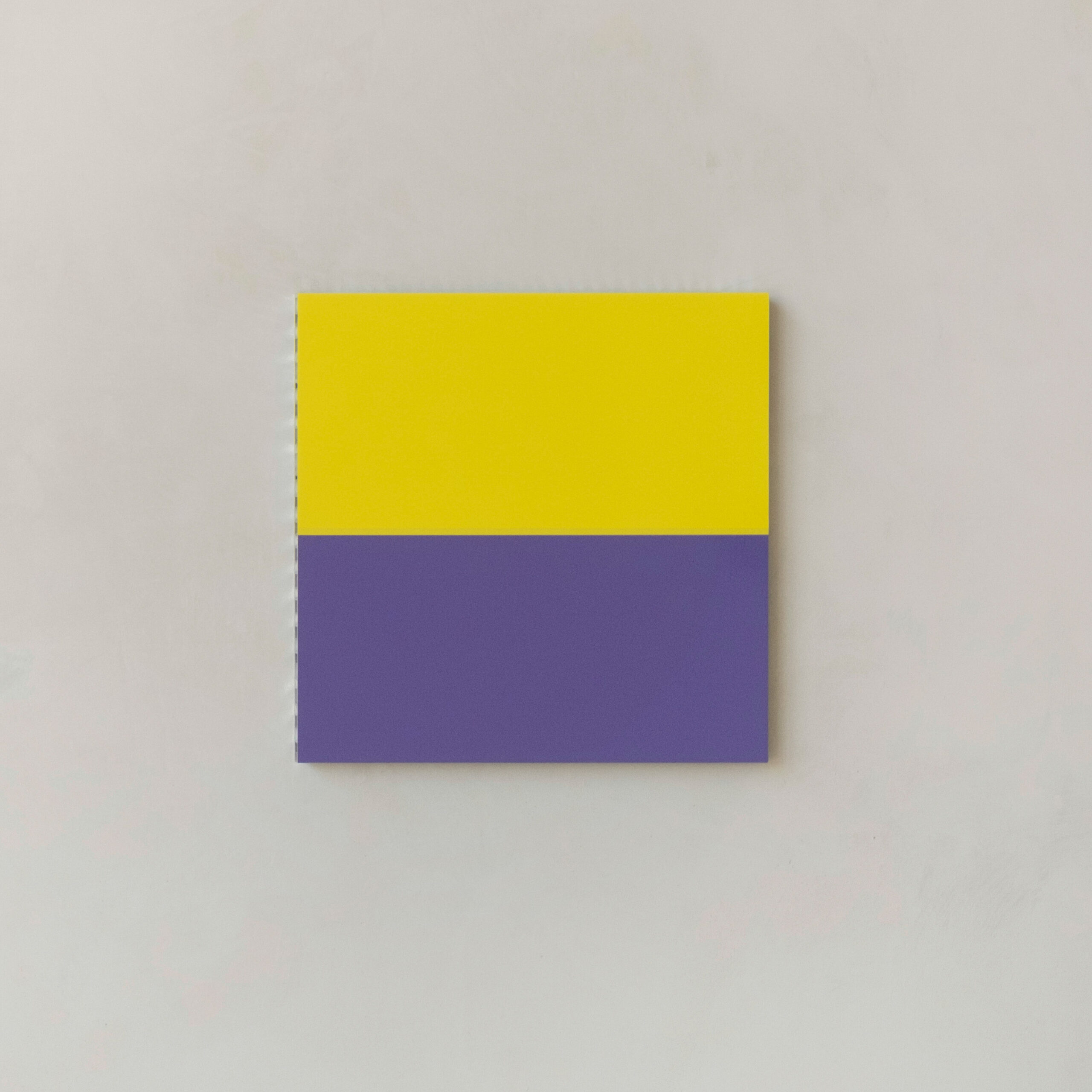 Ro 301